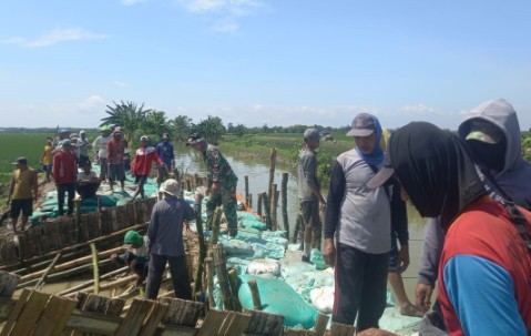 Mediacahayabaru.id Orbitnasional.com Bojonegorotimes.id Amunisinews.id 1