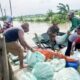 Mediacahayabaru.id Orbitnasional.com Bojonegorotimes.id Amunisinews.id 18