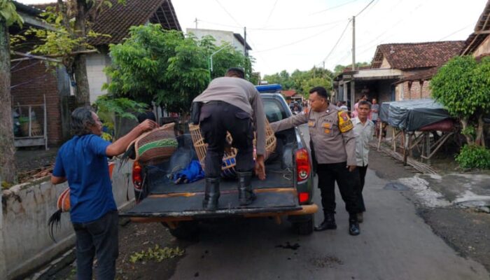 Polsek Bagor Gerebek Lokasi Perjudian Sabung Ayam di Sugihwaras