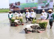 Gresik Kota Industri, Tapi Masih Memiliki Sekitar 39.000 Hektare Lahan Sawah