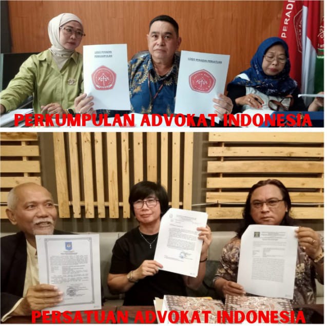 Img 20250112 Wa0003