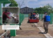 Disnakkan Bojonegoro Terus Bergerak Tangani PMK, Imbau Peternak Sapi