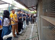 Puluhan Mahasiswa Singapura Datang ke Surabaya