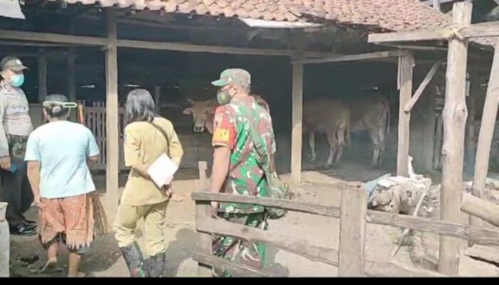 Polres Nganjuk Apresiasi Sinergi Penanganan PMK di Desa Senggowar