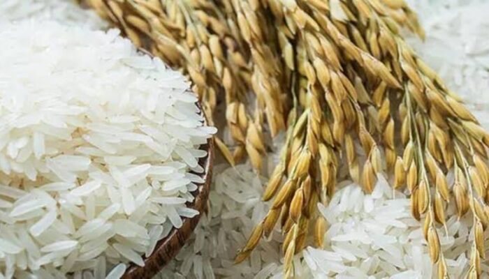 Harga Gabah Kering dan Beras Premium di Jatim Naik