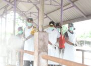 Antisipasi Pencegahan PMK Kapolres Lamongan Bersama Forkopimda Laksanakan Vaksinasi, Sosialisasi PMK, dan Desinfeksi