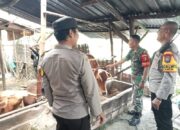 Cegah PMK Pada Sapi, Kapolsek Kanor Berikan Edukasi