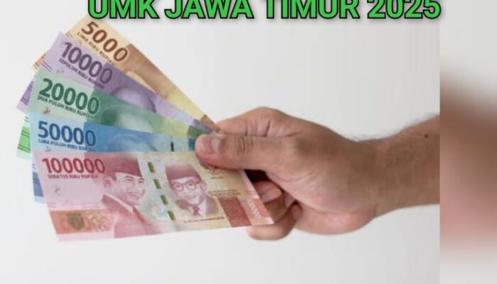 UMK Jawa Timur Tahun 2025 di 38 Kabupaten/Kota, Situbondo Paling Terendah