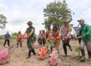 Penanaman Jagung serentak 1 juta Hektar di Desa Clebung Kecamatan Bubulan Bojonegoro