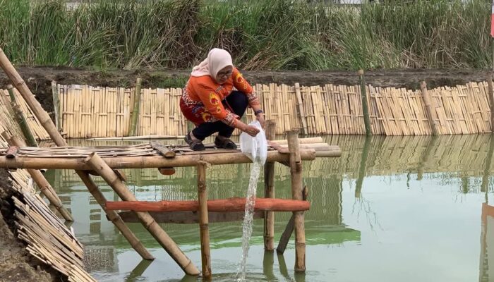 Pemkab dan Polres Bojonegoro Tabur 10.000 Benih Ikan di Kolam