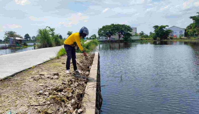 Bantahan Kades Tiwet Lamongan Terkait Pengalihan Proyek TPT Penghubung Desa