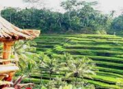 Menemukan Ketentraman di Ubud: Surga Seni dan Budaya Bali
