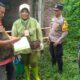 Img 20250131 Wa0014