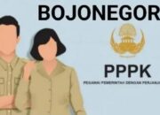 Pengumuman CPNS/PPPK Kabupaten Bojonegoro Tahun 2025