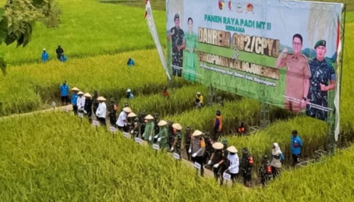 Danrem 082/CPYJ Panen Raya Padi bersama Kelompok Tani Mulyorejo