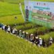 Mediacahayabaru.id Orbitnasional.com Bojonegorotimes.id Amunisinews.id 175