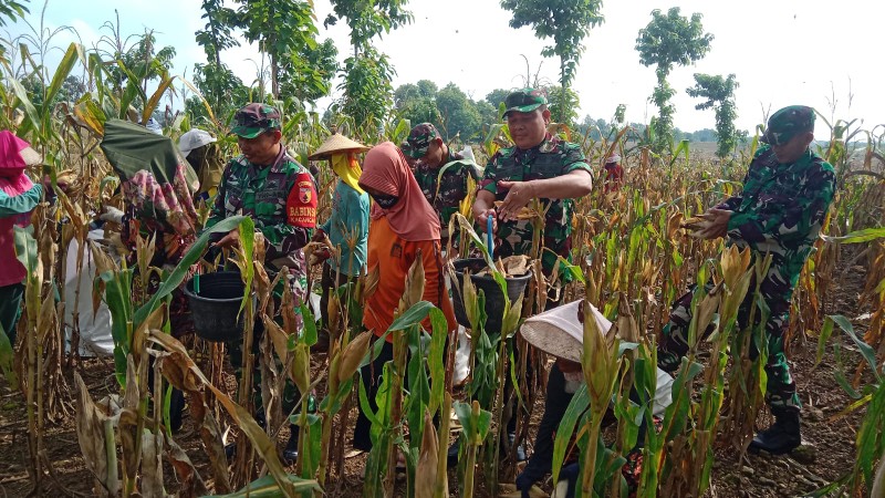 Mediacahayabaru.id Orbitnasional.com Bojonegorotimes.id Amunisinews.id 193