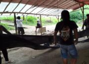 Polres Nganjuk Gerebek Lokasi Sabung Ayam di Lengkong, Pelaku Kabur