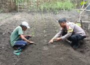 Bhabinkamtibmas Desa Senjayan Bersama Warga Manfaatkan Lahan Sela untuk Dukung Ketahanan Pangan