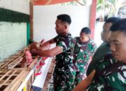 Dukung Ketahanan Pangan, Koramil Jajaran Kodim Bojonegoro Budidaya Ayam Petelur