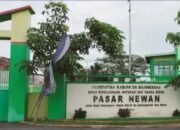 Pemkab Bojonegoro Perpanjang Penutupan Pasar Hewan untuk Antisipasi PMK