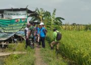 Sinergi bersama PLN, Kodim Lamongan Siap Mensukseskan Program Listrik Masuk Pertanian