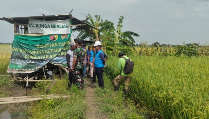 Sinergi bersama PLN, Kodim Lamongan Siap Mensukseskan Program Listrik Masuk Pertanian