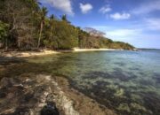 Menikmati Keindahan Pantai Batu Putih Karimunjawa: Destinasi Eksotis Yang Tak Terlupakan