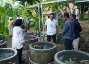 Program Inovatif Pemkab Bojonegoro Mengintegrasikan Buis Penampung Air Hujan Untuk Budidaya Ikan Konsumsi
