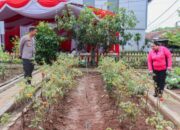 Polres Bojonegoro dan Bhayangkari Berkolaborasi Wujudkan Ketahanan Pangan Melalui Program P2L