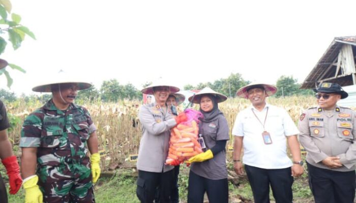 Polres Bojonegoro Turut Andil dalam Sukseskan Program Ketahanan Pangan Nasional Melalui Panen Raya Jagung