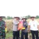 Img 20250226 Wa0101