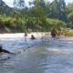 Img 20250227 Wa0090