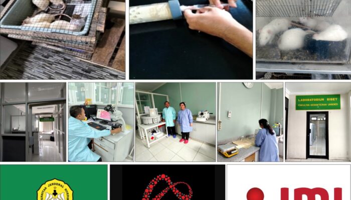 Inovasi Terapi Komplementer dengan Teknologi Nano Kombinasi NO, Mg, dan GNH