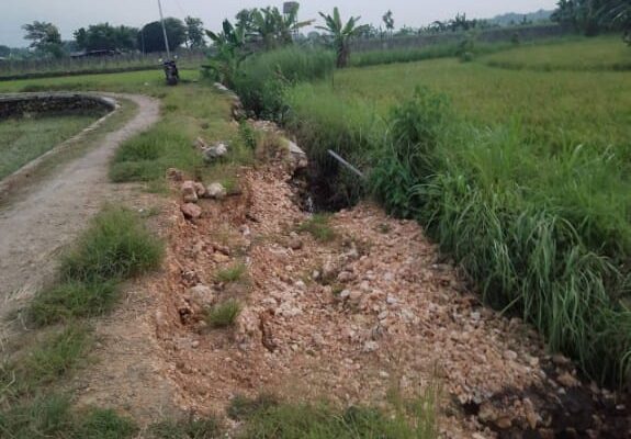 Proyek TPJ Ratusan Juta di Tuban Ambruk, Warga Curiga Korupsi Dana Desa