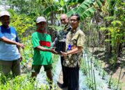 Pemkab Bojonegoro Tanam Harapan di Pekarangan Keluarga Miskin