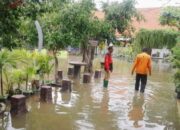 Lamongan Diterjang Banjir, Dua Desa Terendam