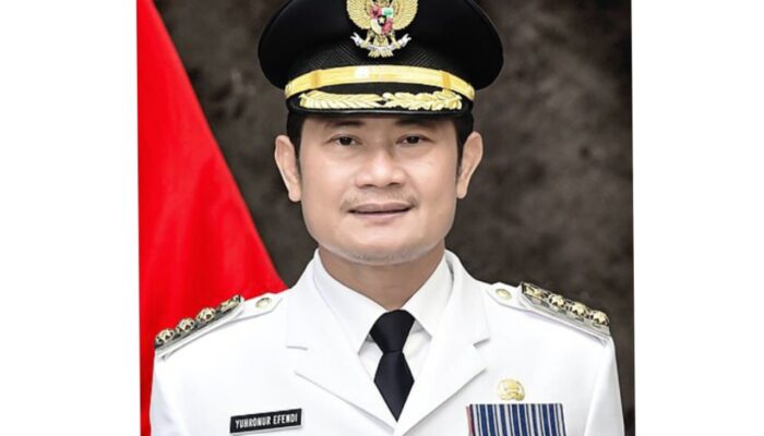 Bupati Lamongan Yuhronur Efendi Punya 18 Bidang Tanah, Tapi
