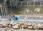 Proyek Rehabilitasi Perkuatan Tebing Jembatan Ngaglik Bojonegoro Retak, Ini Konsultannya