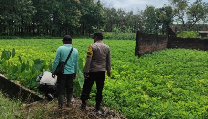 Bhabinkamtibmas Bubulan Turun Tangan, Pantau Pekarangan Bergizi