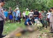 Kabar Duka dari Sungai Sidomulyo Lamongan: Pencari Ikan Ditemukan Tak Bernyawa