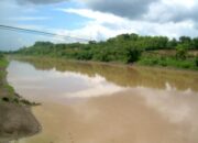 BPBD Bojonegoro Himbau Masyarakat Waspada, Tren Ketinggian Air di Bengawan Solo Terus Meningkat