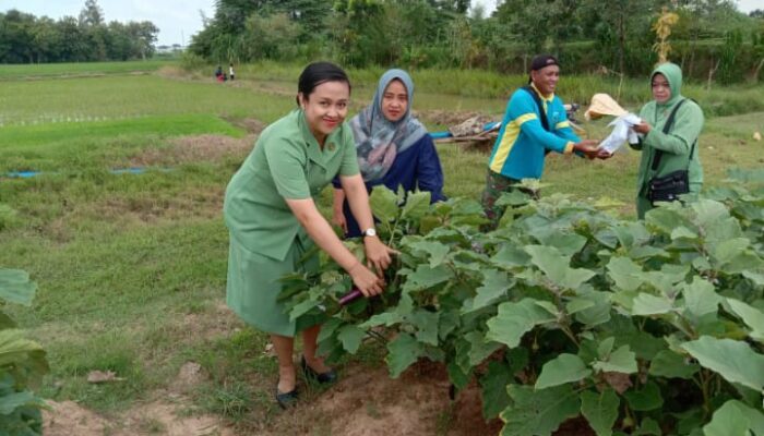 Kodim Lamongan Mendukung Ketahanan Pangan di Kampung Pandu