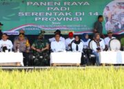 Panen Raya di Sukorejo: Bupati Bojonegoro Dengar Curhat Petani, Janjikan Gebrakan Atasi Krisis Air dan Banjir