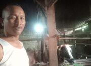 Penggembala Sapi dari Tuban Ini Jadi Jurnalis, Kok Bisa