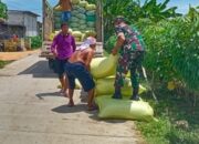 Kodim Lamongan dan Bulog Bersinergi Kawal Serapan Gabah, Jaga Stabilitas dan Sejahterakan Petani