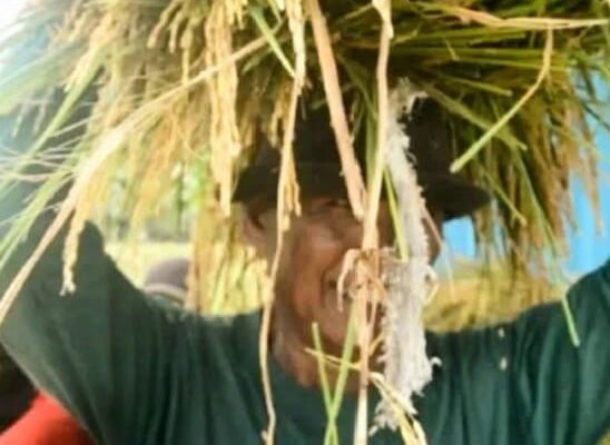 Petani Bojonegoro Siap Panen Lebih Untung, Kolaborasi Apik Ubah Irigasi Jadi Lebih Cerdas