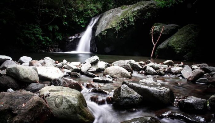 Air Terjun Dolo Kediri, Surga Tersembunyi di Lereng Gunung Wilis