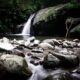 Img 20250413 Wa0055