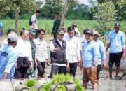 Lamongan Genjot Luas Tambah Tanam Capai 54 Ribu Hektare Lebih